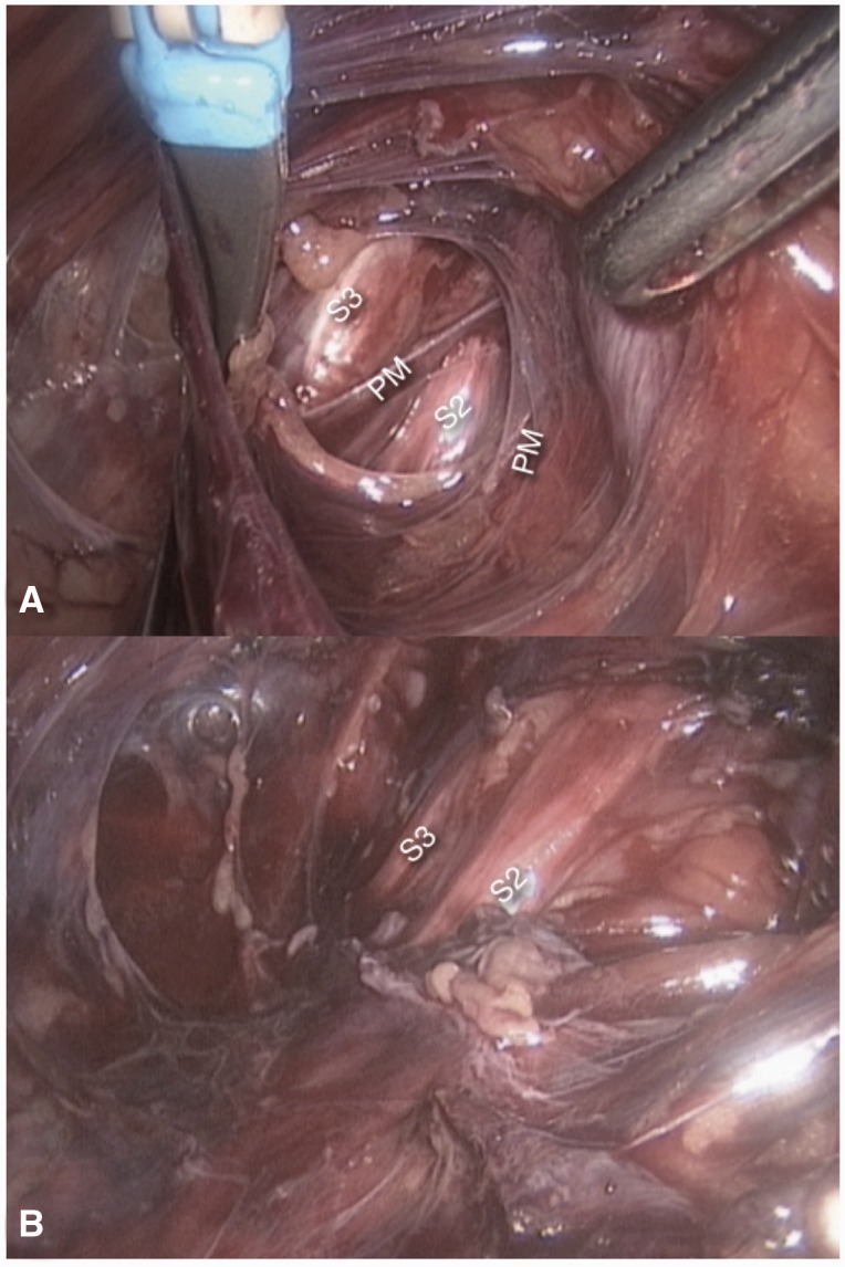 Fig. 9.