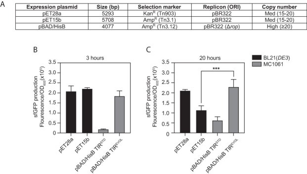 Figure 4.