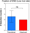 Figure 7—figure supplement 2.