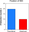 Figure 6—figure supplement 3.