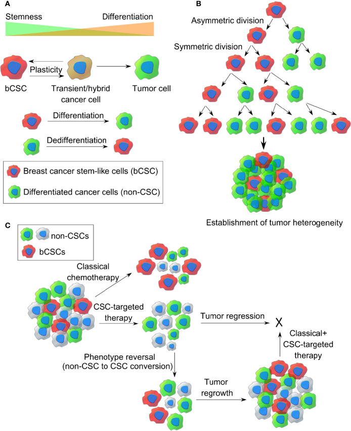 Figure 2