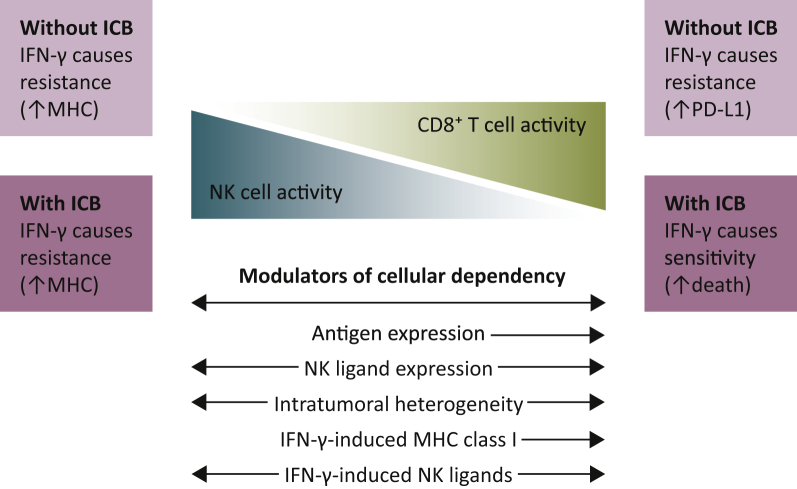 Figure 6