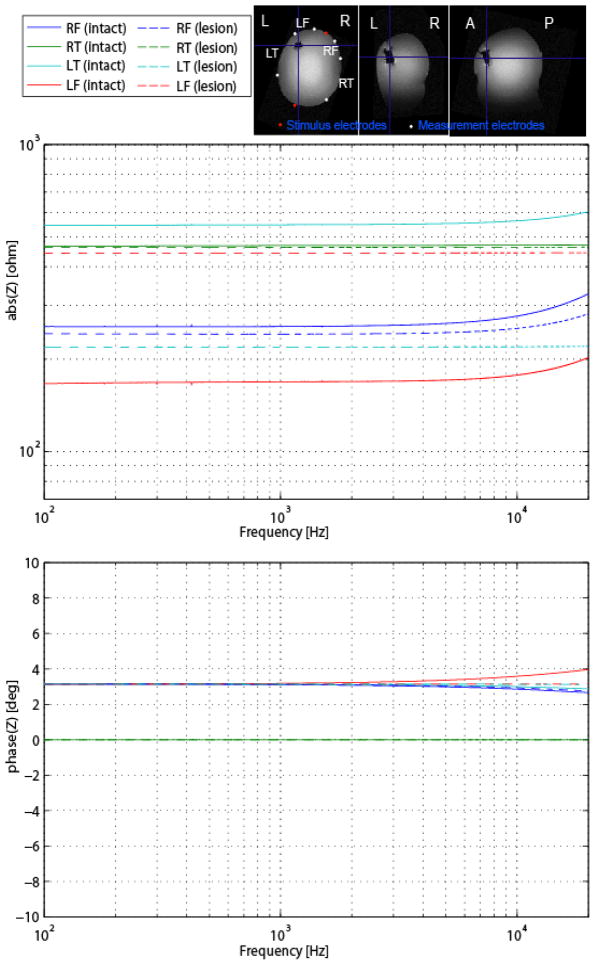 Fig. 10