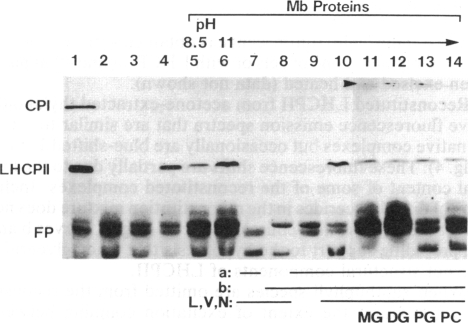 graphic file with name pnas00266-0163-a.jpg