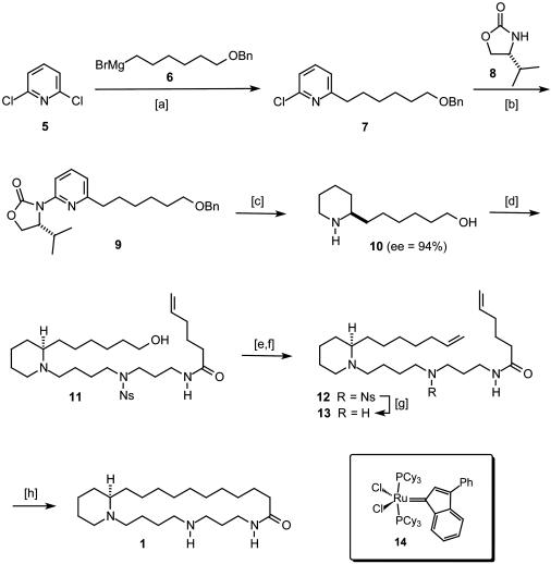 Scheme 3.