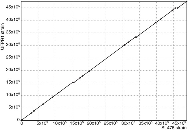 Figure 7