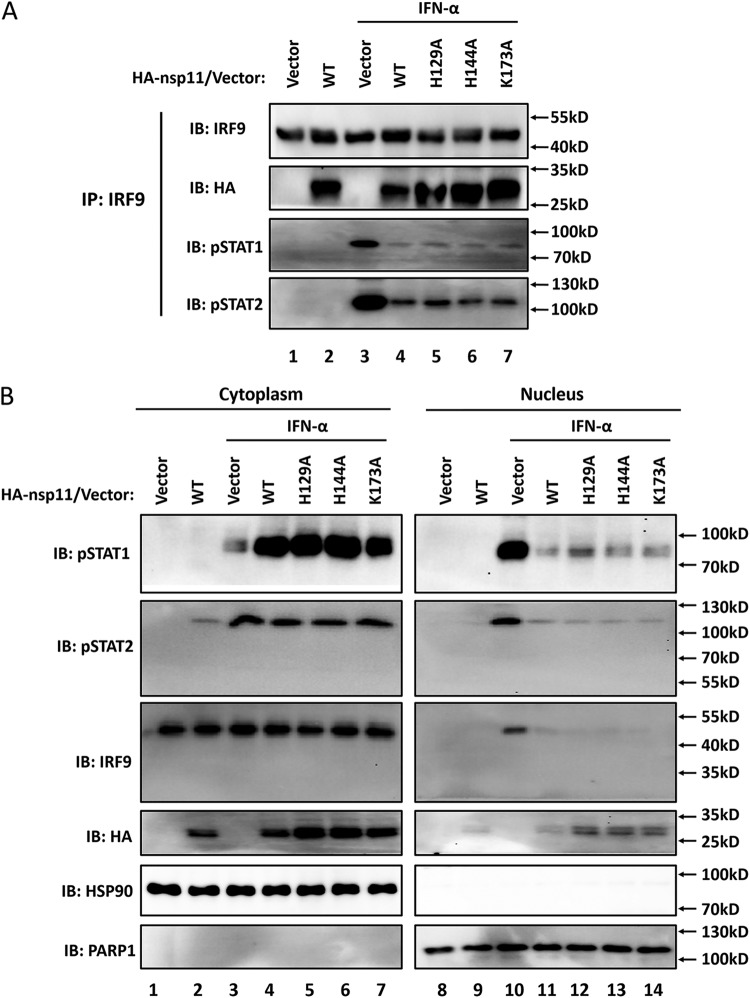 FIG 6