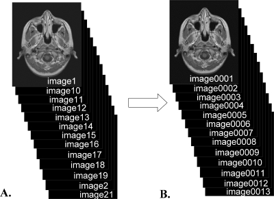 Fig 1