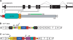 Figure 2.