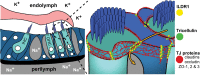 Figure 1.