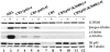 FIG. 8.