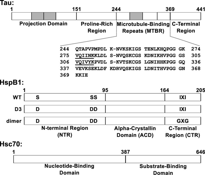 Figure 1.