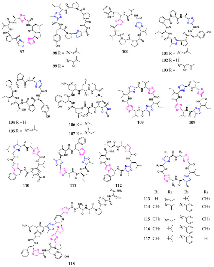 Scheme 6