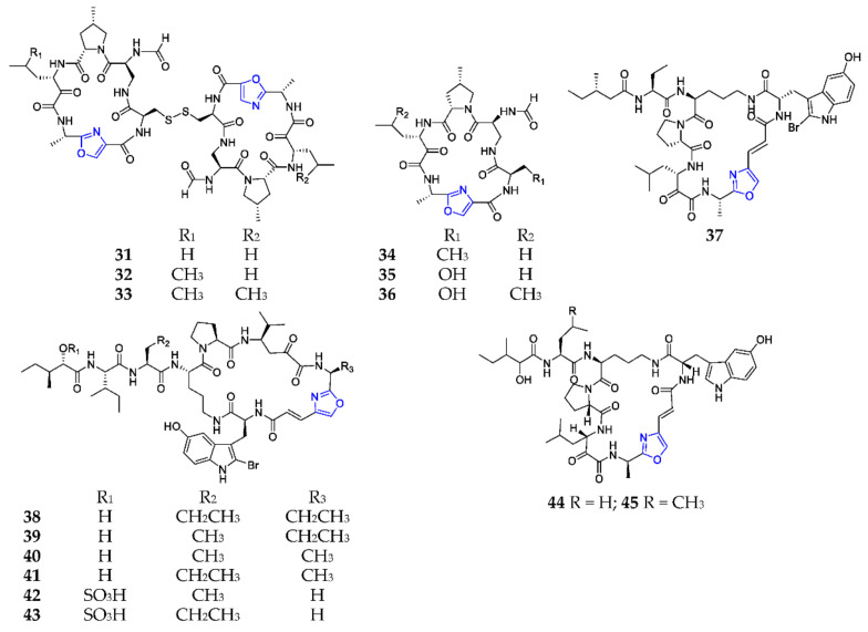 Scheme 2