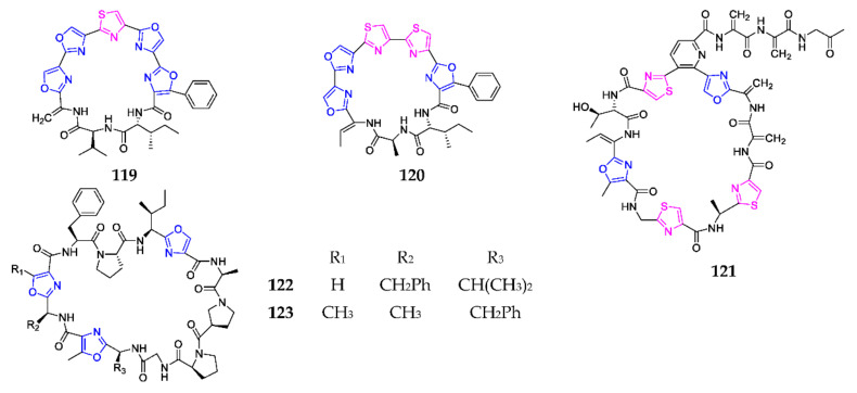 Scheme 7