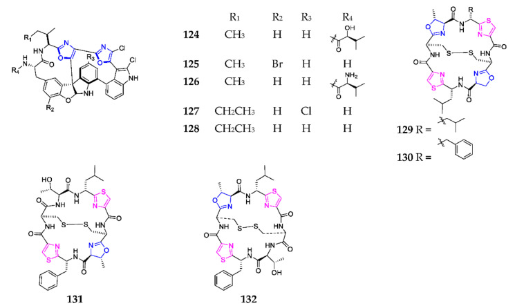 Scheme 8