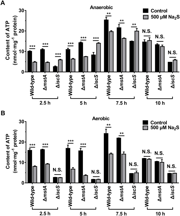 FIGURE 6