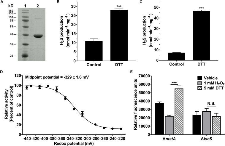 FIGURE 3