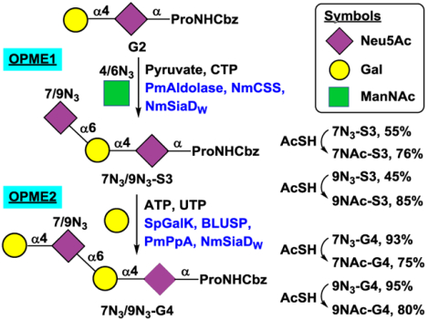 graphic file with name nihms-1659287-f0001.jpg