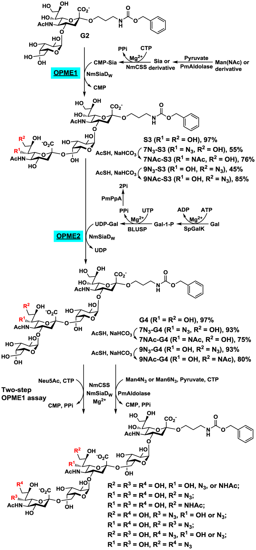 Scheme 2.