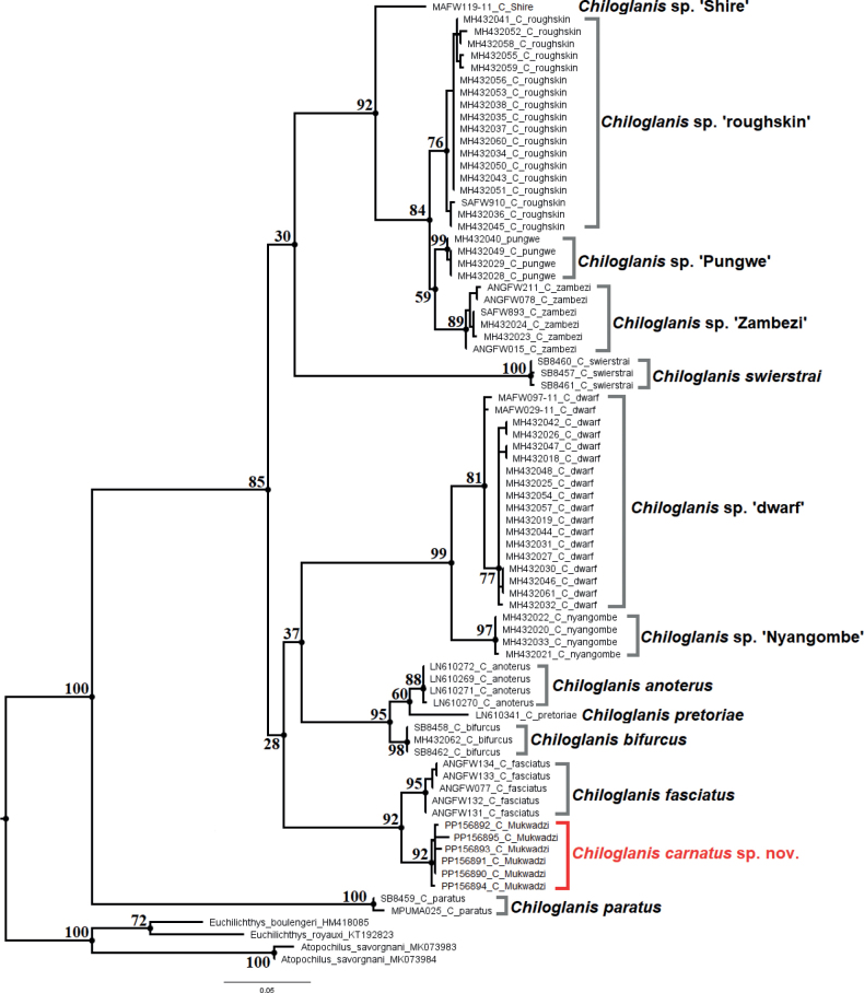 Figure 5.