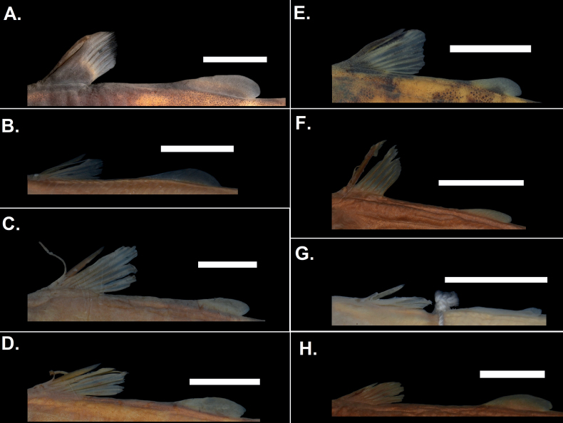 Figure 10.