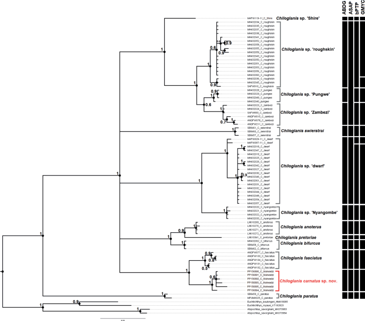 Figure 4.