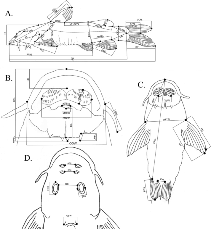 Figure 2.