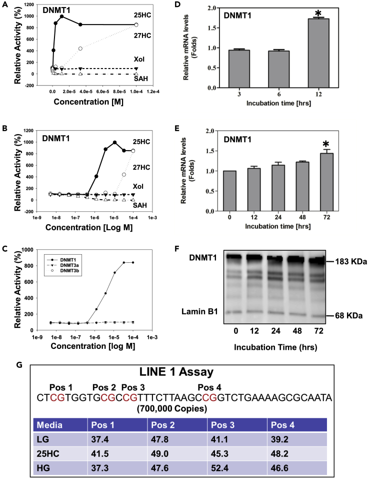 Figure 3