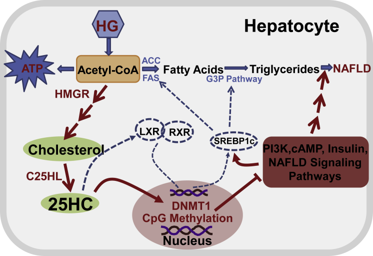 Figure 6