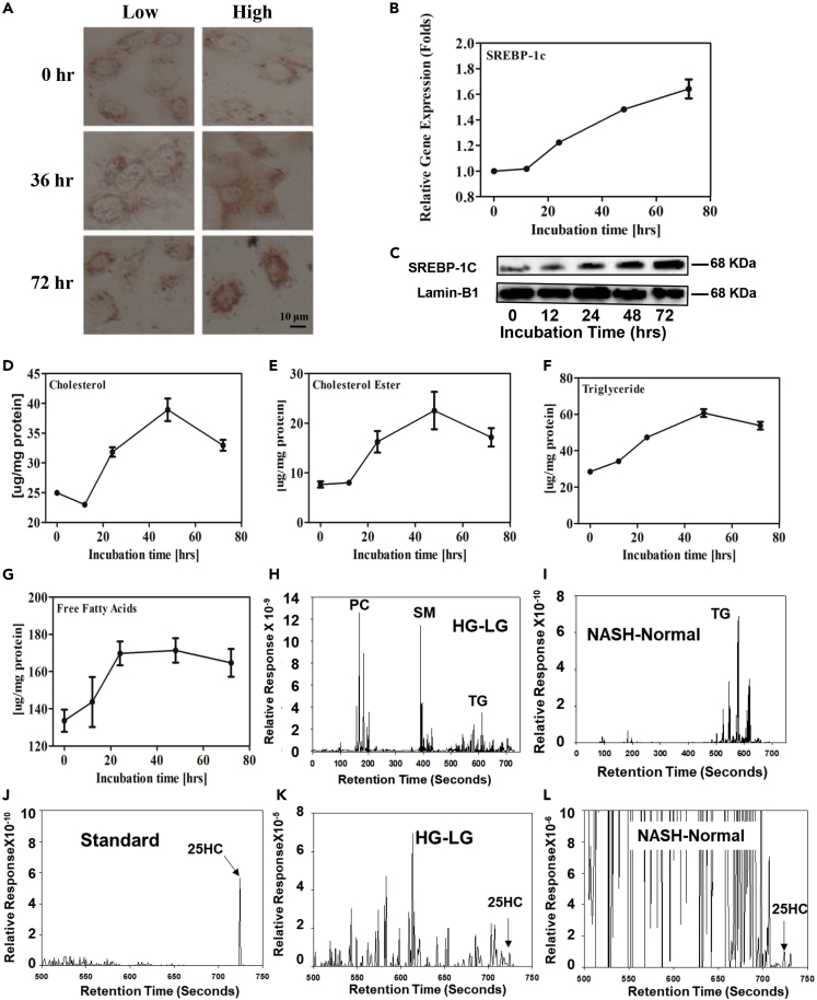 Figure 1