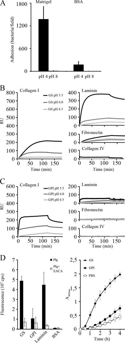 Fig 5