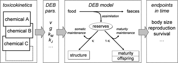 Fig. 1