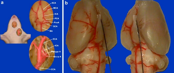 Figure 1