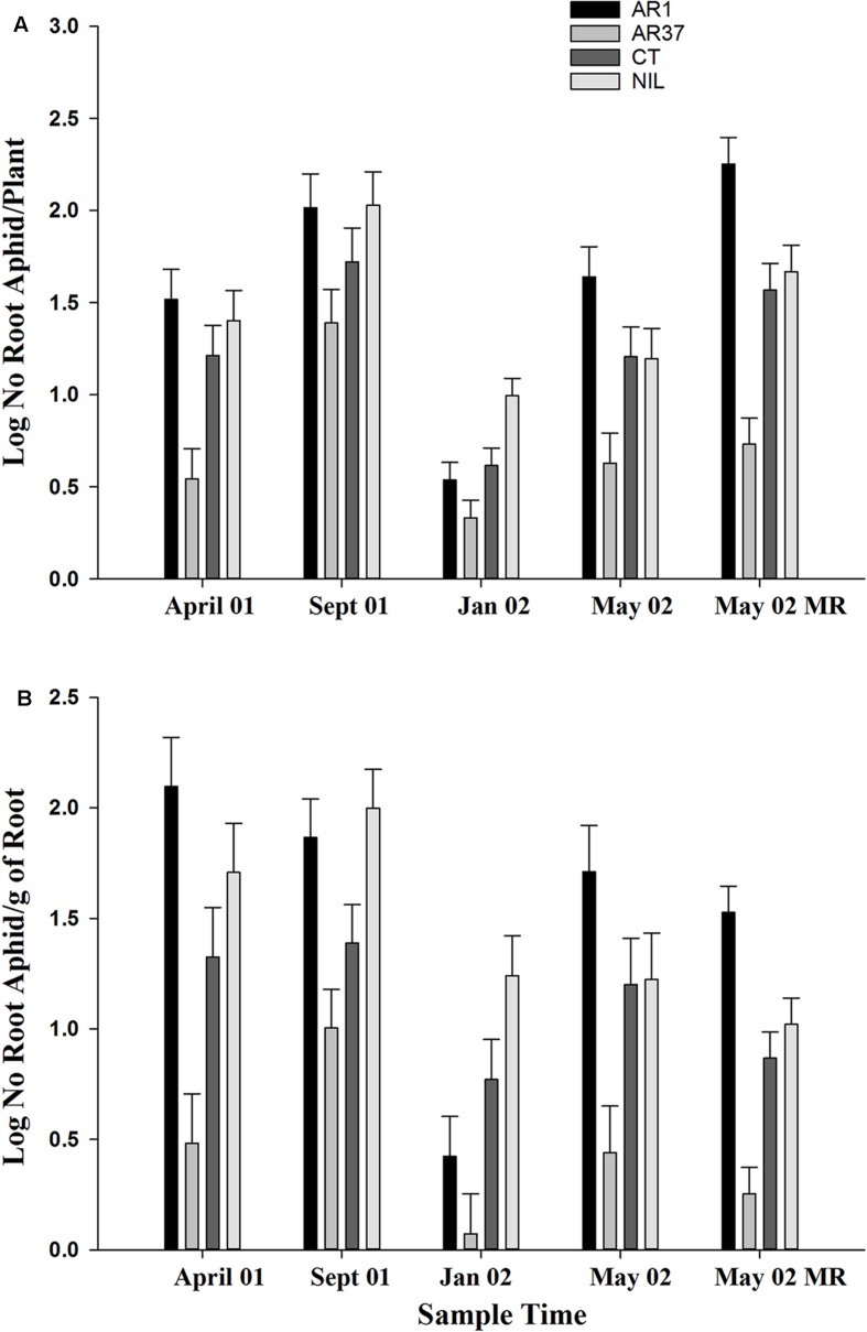 FIGURE 2