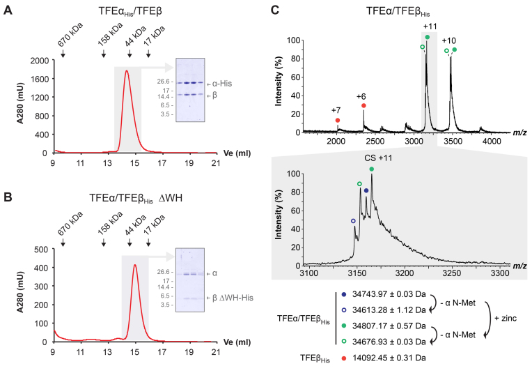 Figure 2.