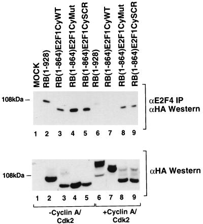 FIG. 8