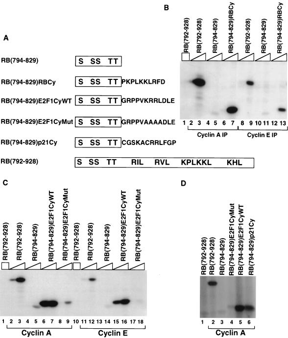 FIG. 5