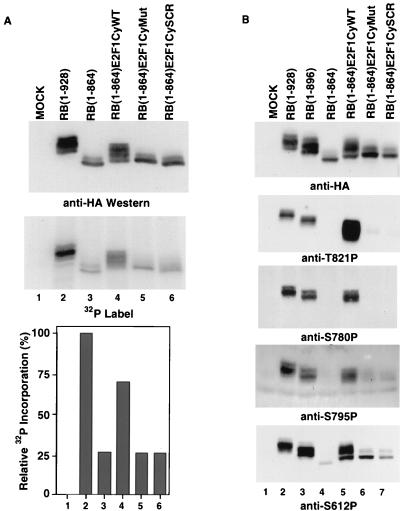 FIG. 7