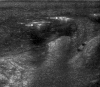 Fig. 5