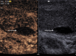 Fig. 7
