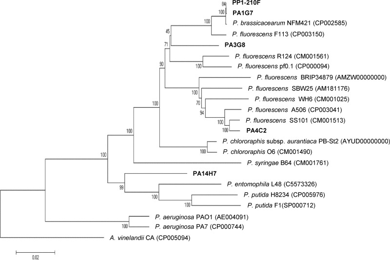 FIG 3