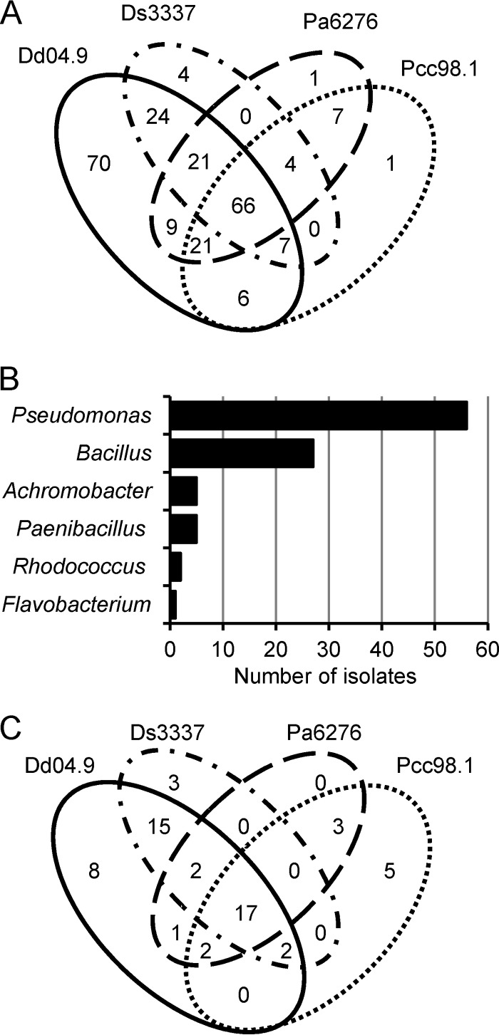 FIG 1