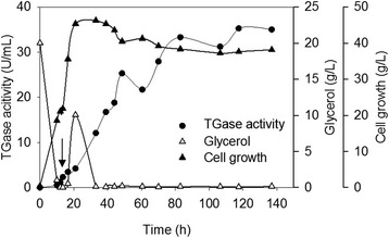 Fig. 4