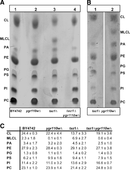 FIGURE 6.