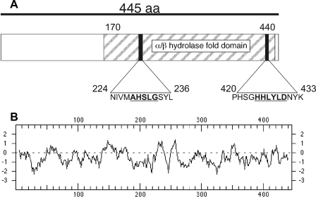 FIGURE 1.