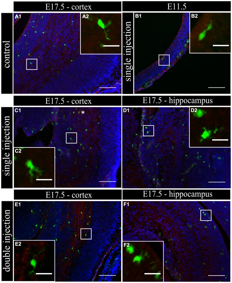 FIGURE 3