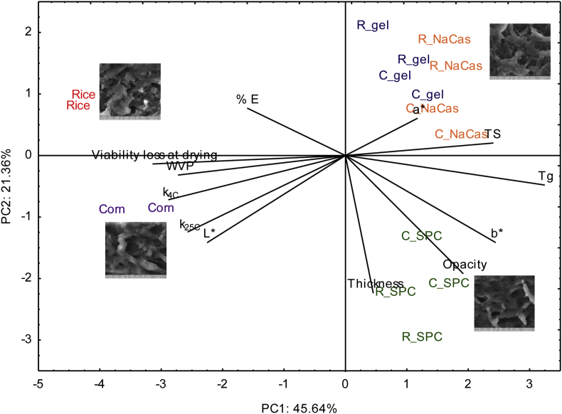 Fig. 8