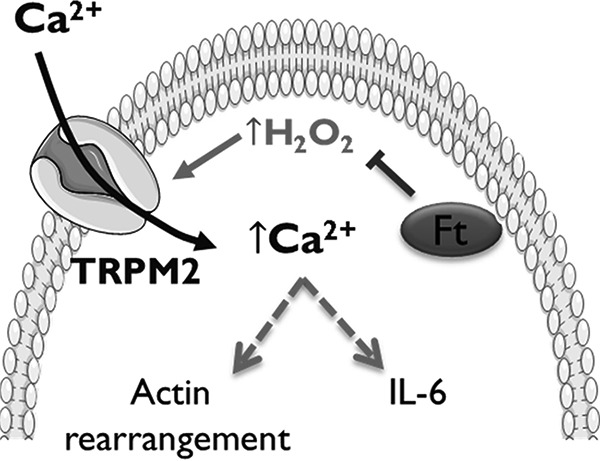 FIGURE 8.