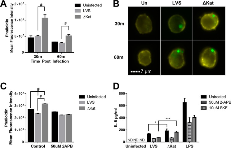 FIGURE 4.